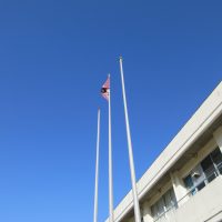 ぽっかぽか🐞🪲