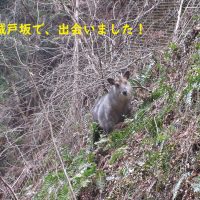 ゴールに向けて