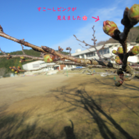 ゴールに向けて　２