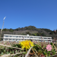 春の陽気です。