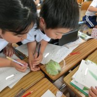 3年生　5月の様子