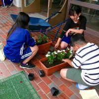 ６年生　委員会活動