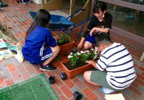 ６年生　委員会活動