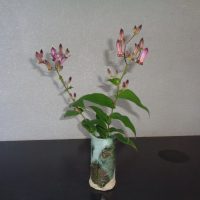 いずみ・のぞみ　陶芸教室