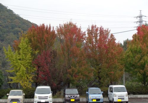 可児地区小中学校児童生徒の交通安全ポスター展　賞状伝達