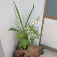 梅雨入りの日に…