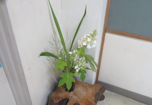 梅雨入りの日に…