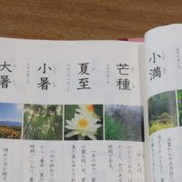 梅雨明けでも…。