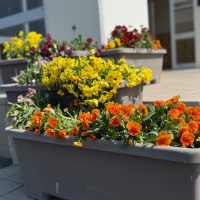 ５月１日（木）西可児中の美しさ