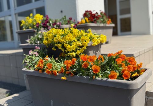 ５月１日（木）西可児中の美しさ