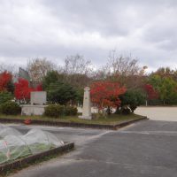 11月18日（火）　秋の深まり