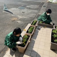 １２月１０日（水）　花いっぱい活動