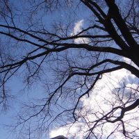 １２月２３日（火）　　私の好きなふるさとの風景（西可児中ばえコンテスト２）