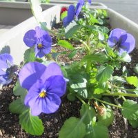 260107　新春　全校生徒へ３つのメッセージ