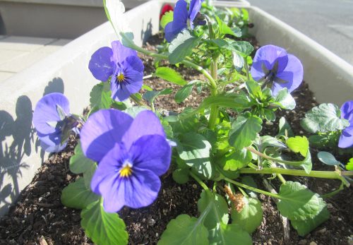 260107　新春　全校生徒へ３つのメッセージ