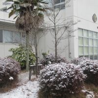 260123　がんばれ3年生！