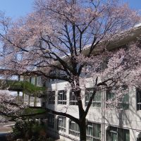 ３月１７日（火）　　全国学調プレ