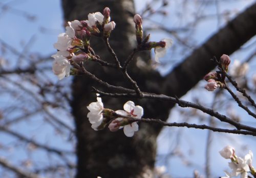 ３月２３日（月）　学年末