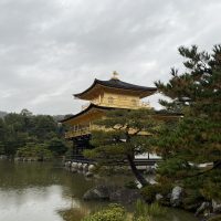 大雨の金閣寺